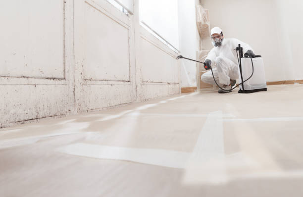 24/7 Emergency Mold Remediation experts in Leonardtown, MD