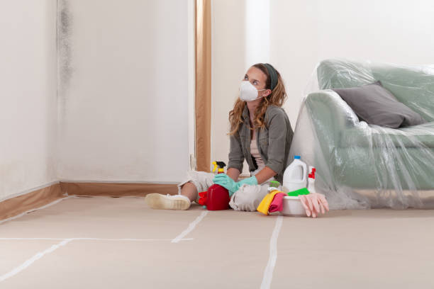 Reliable Mold Remediation contractor in Leonardtown, MD by 24 Hour Mold Removal